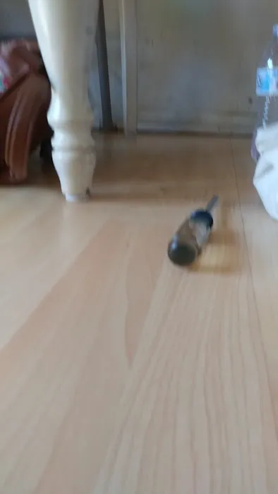 Little Island Pet Store 12