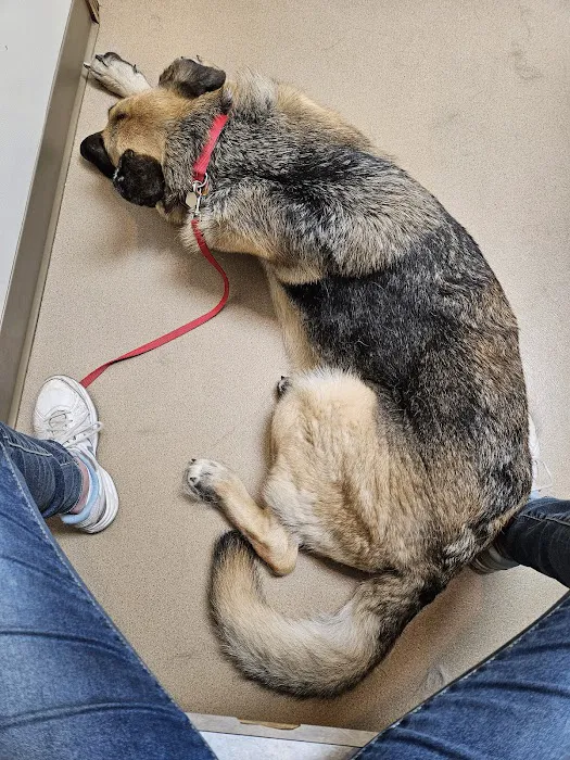 Badger Veterinary Hospital Janesville 12