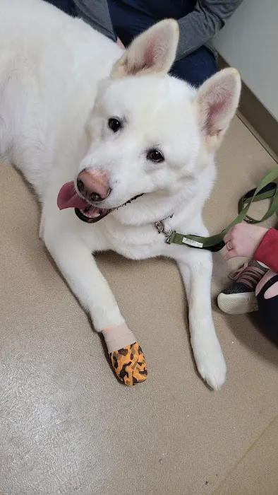 Badger Veterinary Hospital Janesville 12