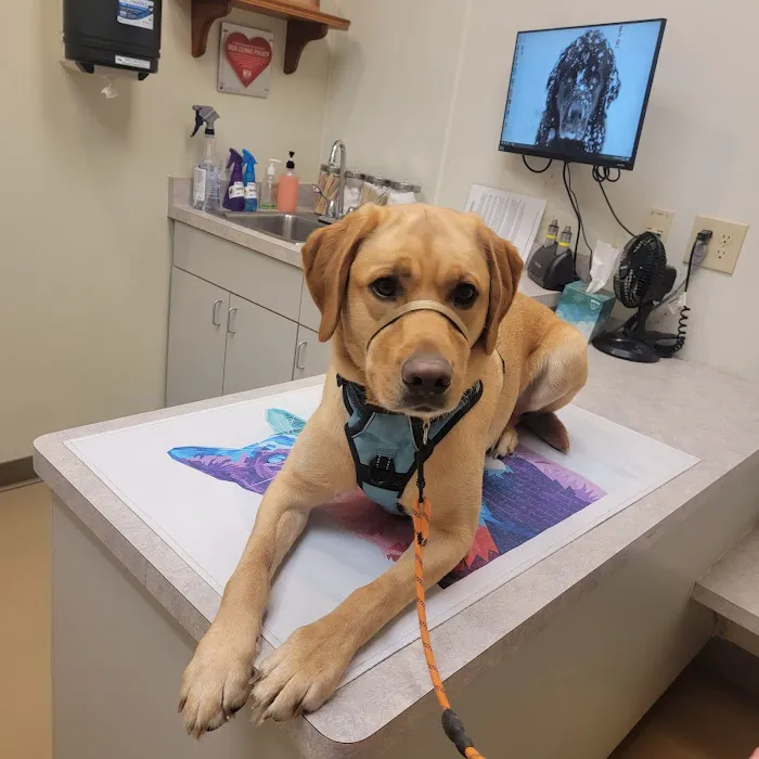Badger Veterinary Hospital Janesville 12
