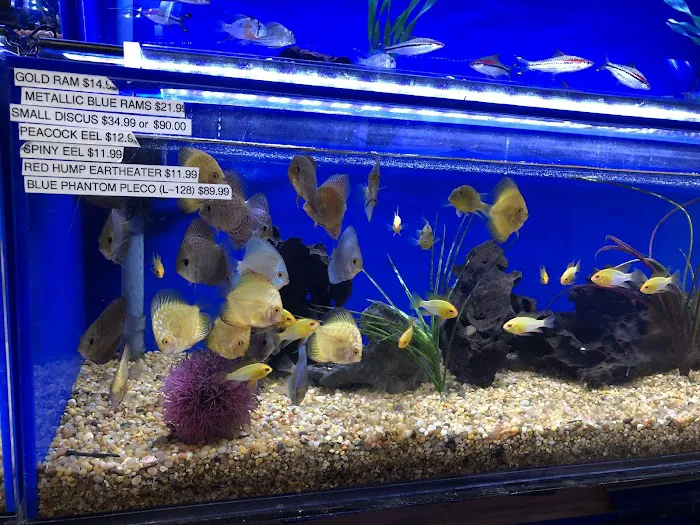 Underwater Depot 12