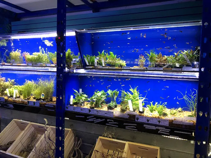 Underwater Depot 12