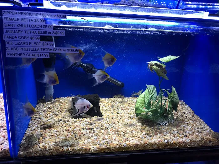 Underwater Depot 12