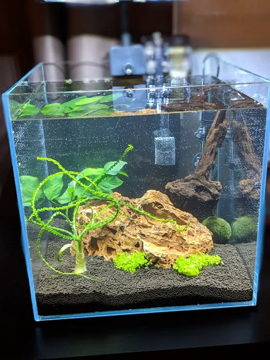 Underwater Depot 12