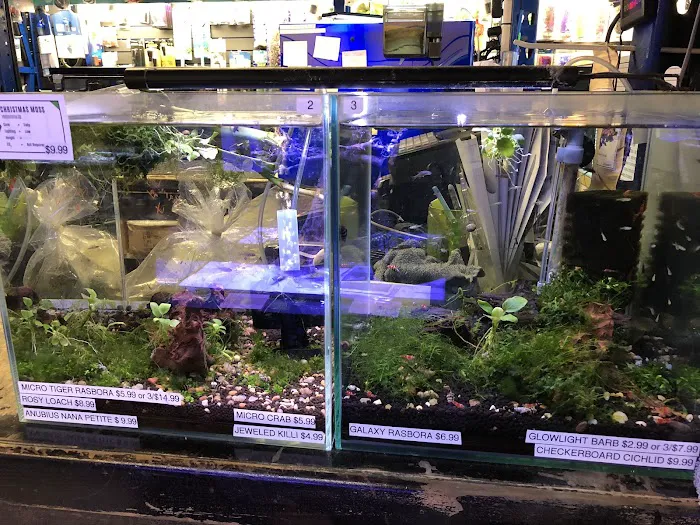 Underwater Depot 12