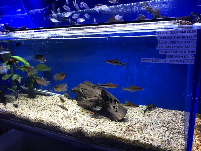 Underwater Depot 12
