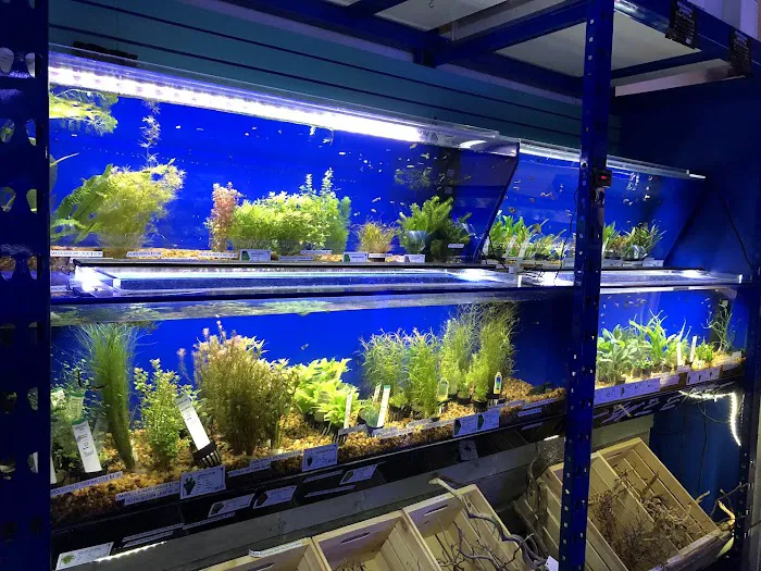 Underwater Depot 12