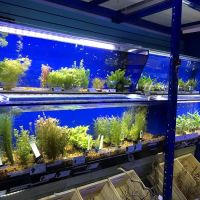 Underwater Depot ico