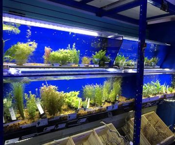 Underwater Depot
