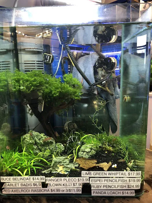 Underwater Depot 12