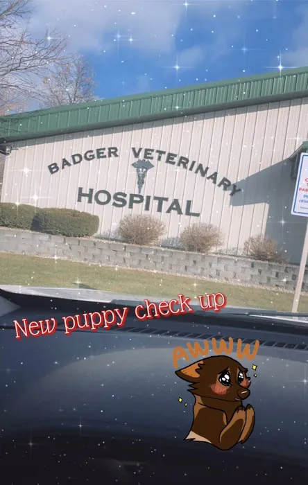 Badger Veterinary Hospital: Cross Katie DVM 2