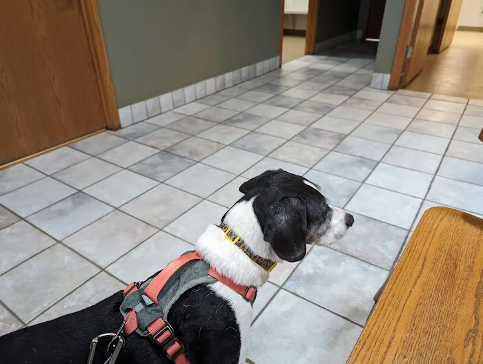 Badger Veterinary Hospital: Cross Katie DVM 1
