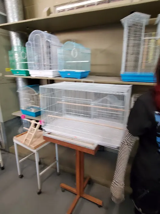Birds Plus 10