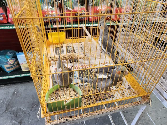 Birds Plus 5