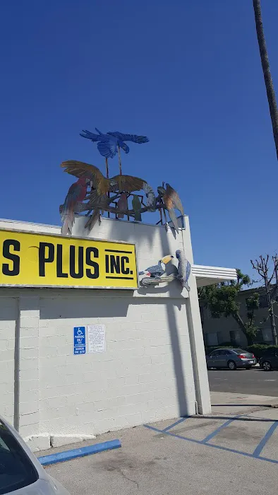 Birds Plus 1
