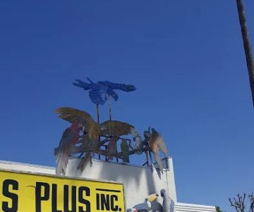 Birds Plus