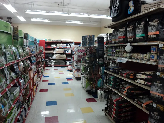 Petco 12