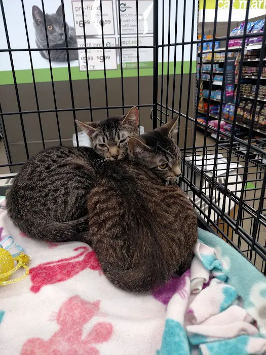 Petco 12