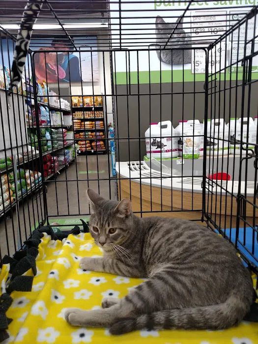 Petco 12
