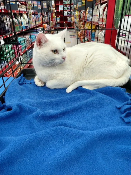 Petco 12