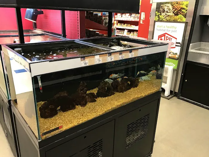 Petco 12