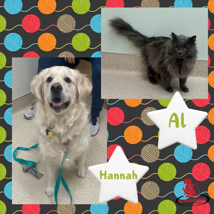 Oconomowoc Animal Hospital 12