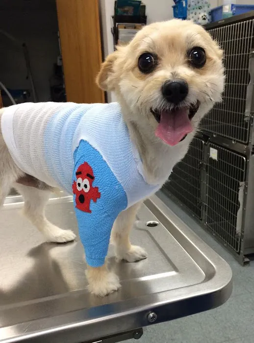 Oconomowoc Animal Hospital 12