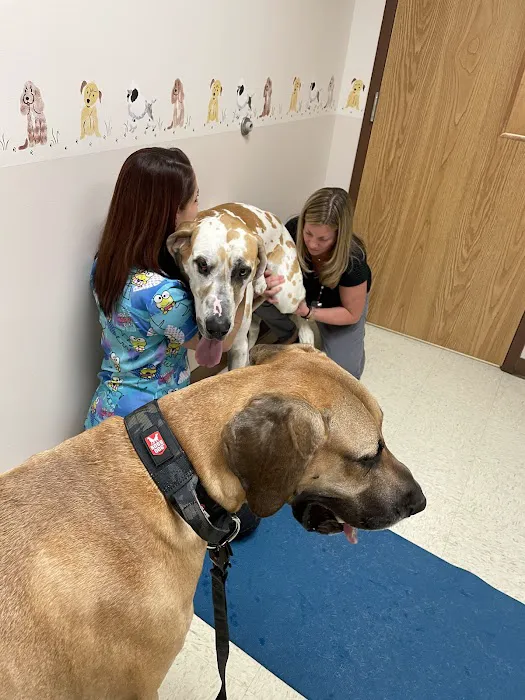 North Lake Veterinary Clinic 12