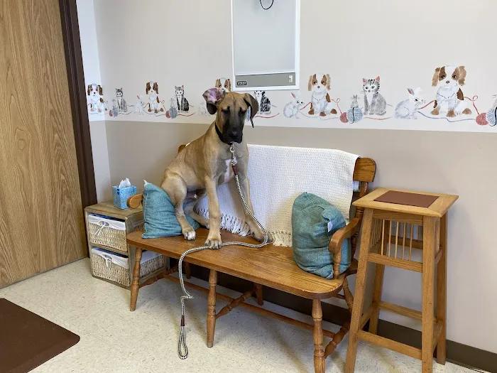 North Lake Veterinary Clinic 12