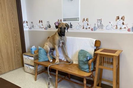 North Lake Veterinary Clinic