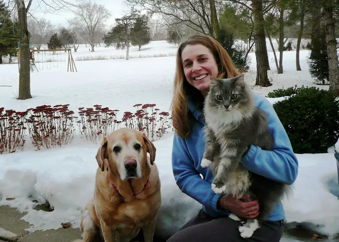 North Lake Veterinary Clinic 12