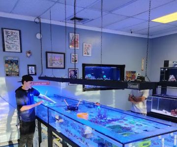 Hammer Aquatics