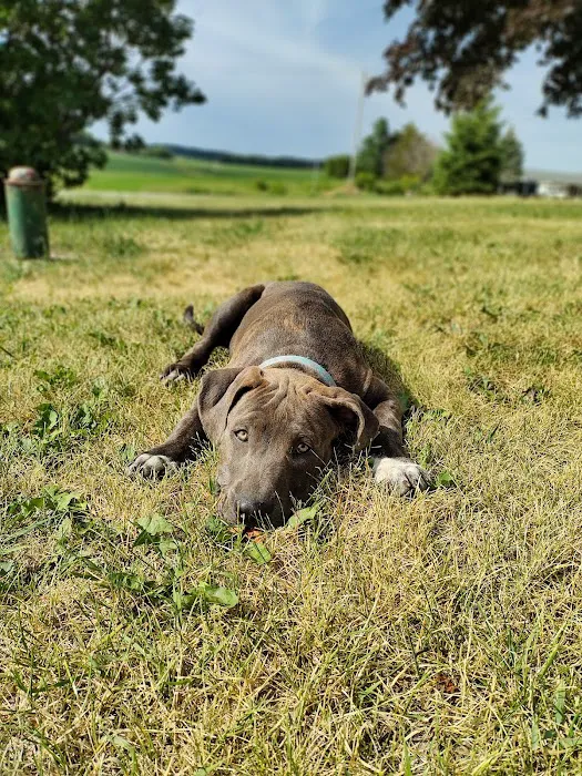 Johnson Creek Veterinary Care 12