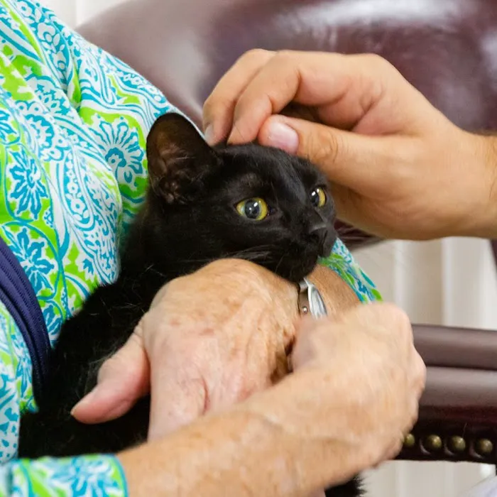 Rock River Animal Clinic 12