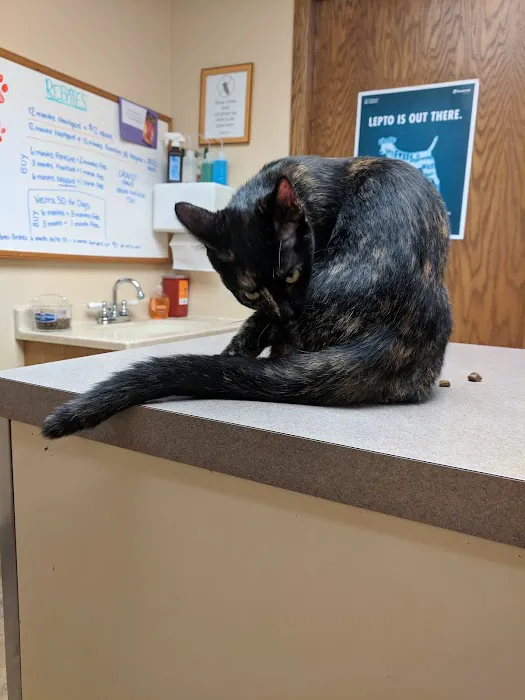 Jefferson Veterinary Clinic, S.C. 12