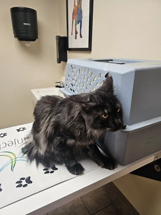 Jefferson Veterinary Clinic, S.C. 12