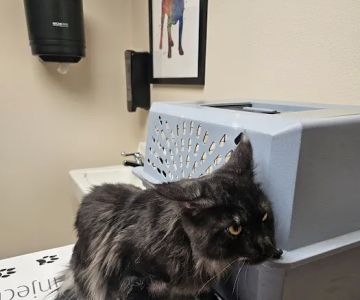Jefferson Veterinary Clinic, S.C.