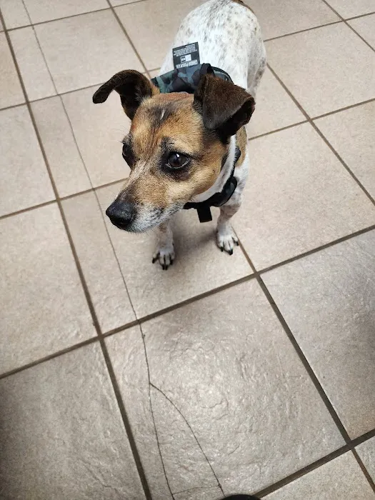 Animal Clinic of Fort Atkinson 12