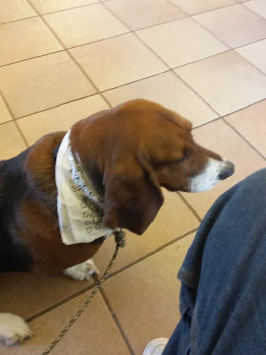 Animal Clinic of Fort Atkinson 12