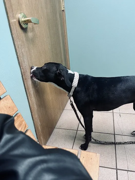Animal Clinic of Fort Atkinson 12