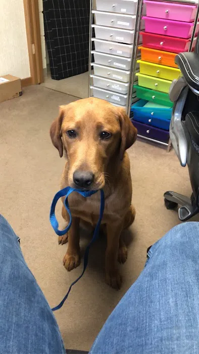 Animal Clinic of Fort Atkinson 12