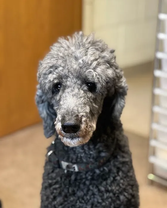 Animal Clinic of Fort Atkinson 12