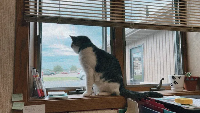Animal Clinic of Fort Atkinson 12