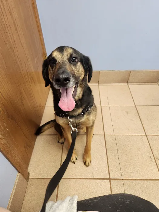 Animal Clinic of Fort Atkinson 12