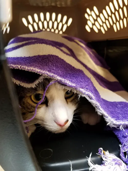 Animal Clinic of Fort Atkinson 12