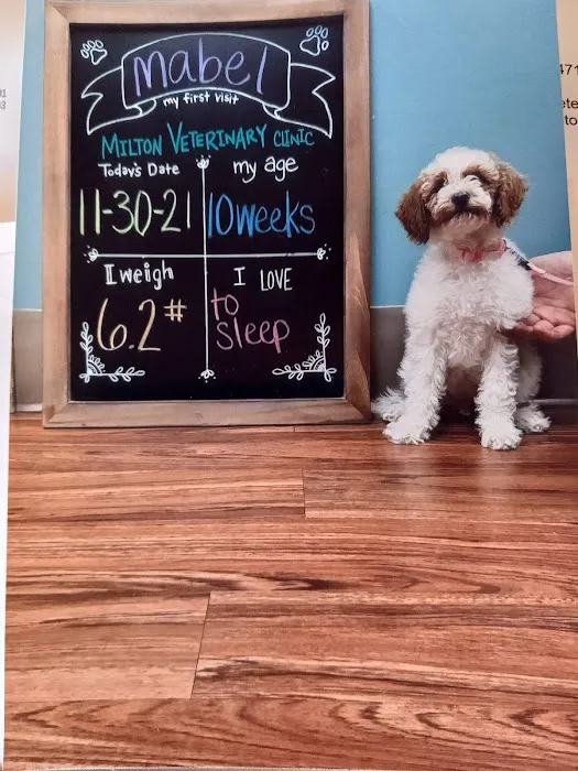 Milton Veterinary Clinic 12