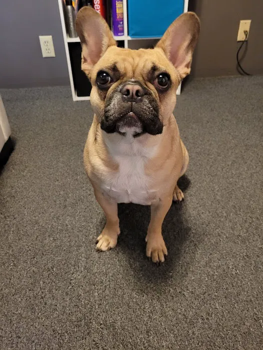 Milton Veterinary Clinic 12
