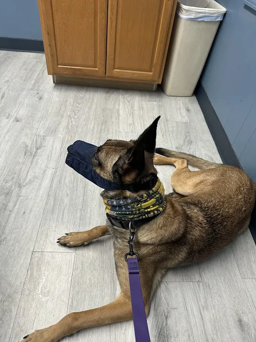 Southway Animal Hospital 12