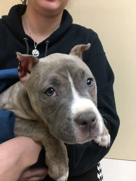 Southway Animal Hospital 12