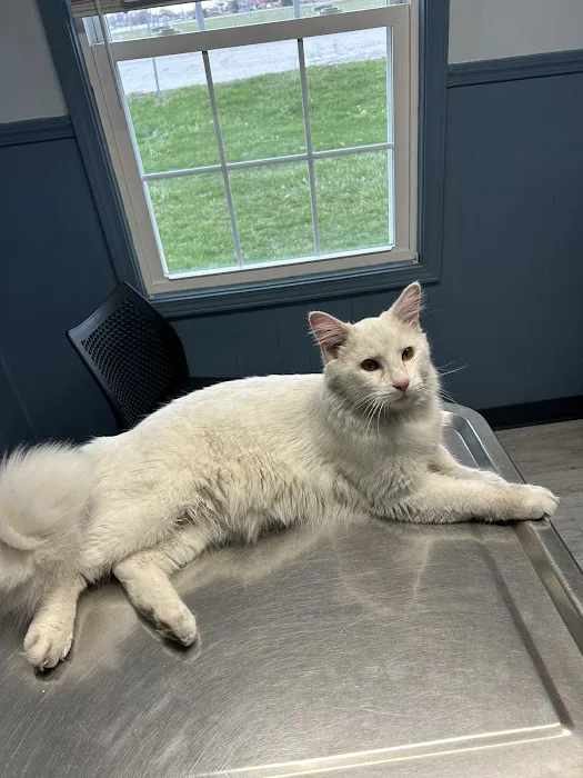 Southway Animal Hospital 12